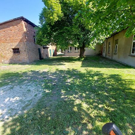 Ferienhaus Sommer Linden Deyelsdorf ภายนอก รูปภาพ
